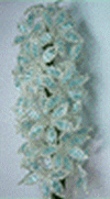 Мастер-класс плетения гиацинта из бисера